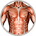 Muscle definition